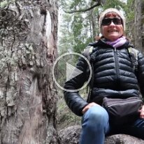 MVI_6396_done 19/11/2019 - Vidéo - Seuls les sexagénaires inconscients se filment en équilibre sur des troncs. C'est pour le plaisir de vos yeux que je prends des risques...
